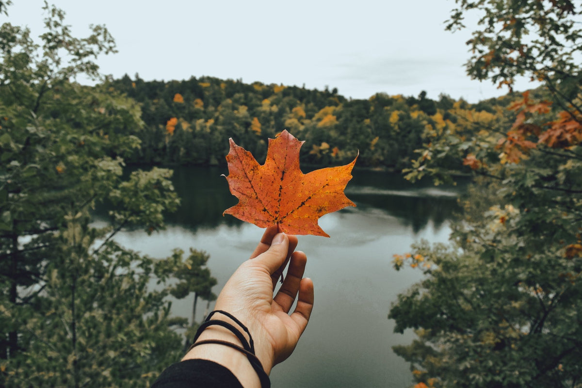 Autumn Sale - iGlow Cosmetics